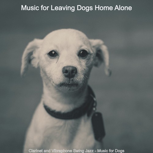 Music for dogs home clearance alone