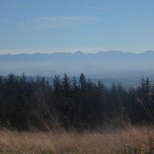 Coffee House Jazz on Pandora Radio, Songs & Lyrics