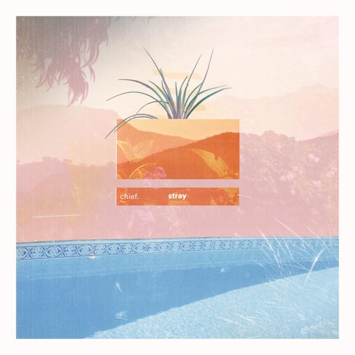 Absent by chief. - Pandora