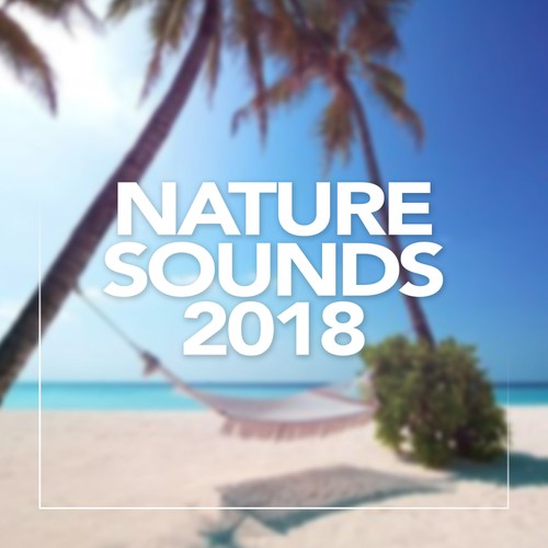 best nature sounds pandora radio stations