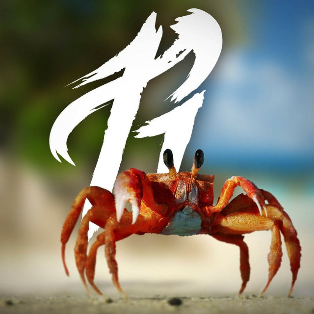 Vyond Crab Rave Crab Rave by RichaadEb - Pandora