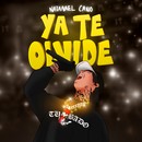 Album artwork