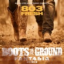 Album artwork
