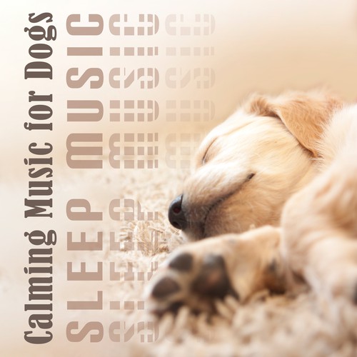 Calming Music for Dogs (Sleep Music for Dogs, Puppy Sleep