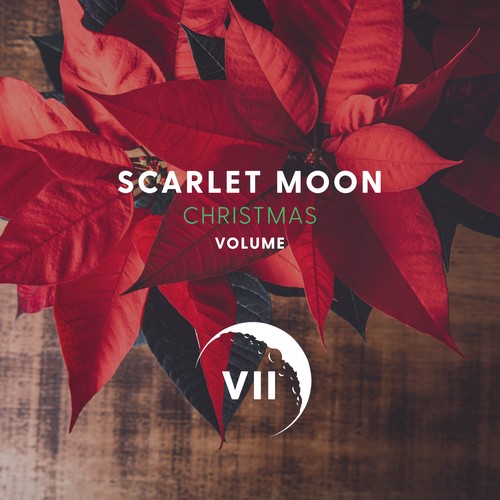Amigos e familiares prestam últimas homenagens a Scarlet Moon