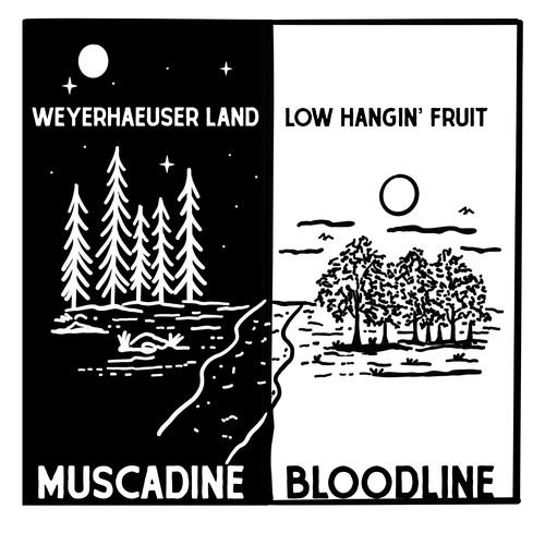 Weyerhaeuser Land / Low Hangin' Fruit by Muscadine Bloodline Pandora