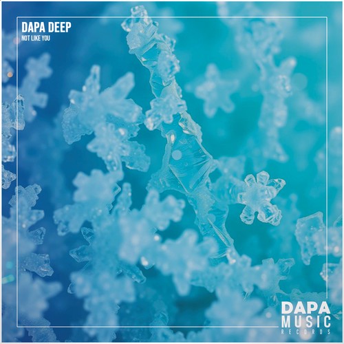 Not Like you by Dapa Deep - Pandora