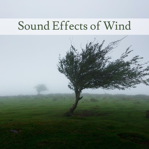 wind sound effects free download