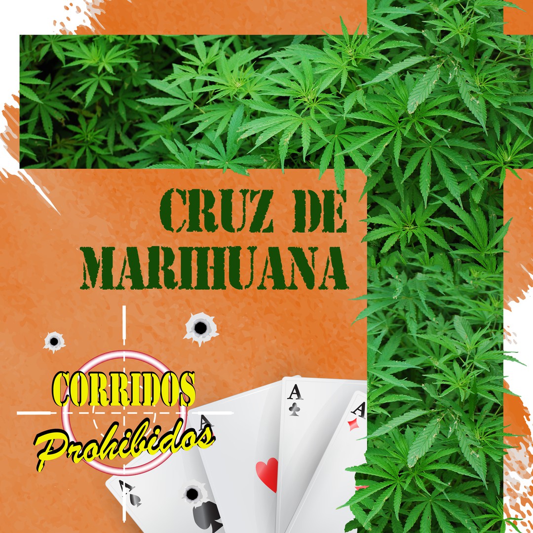 La Cruz de Marihuana by Grupo Aguilas Del Norte - Pandora