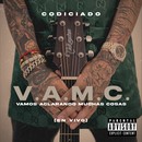 Album artwork