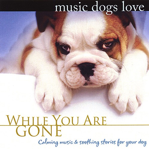 Calming music for store dogs on pandora