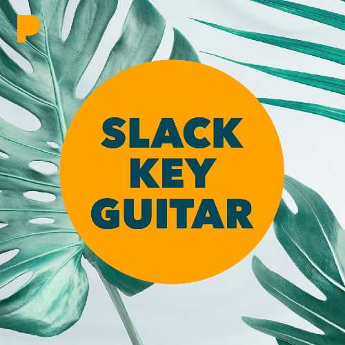 slack key guitar