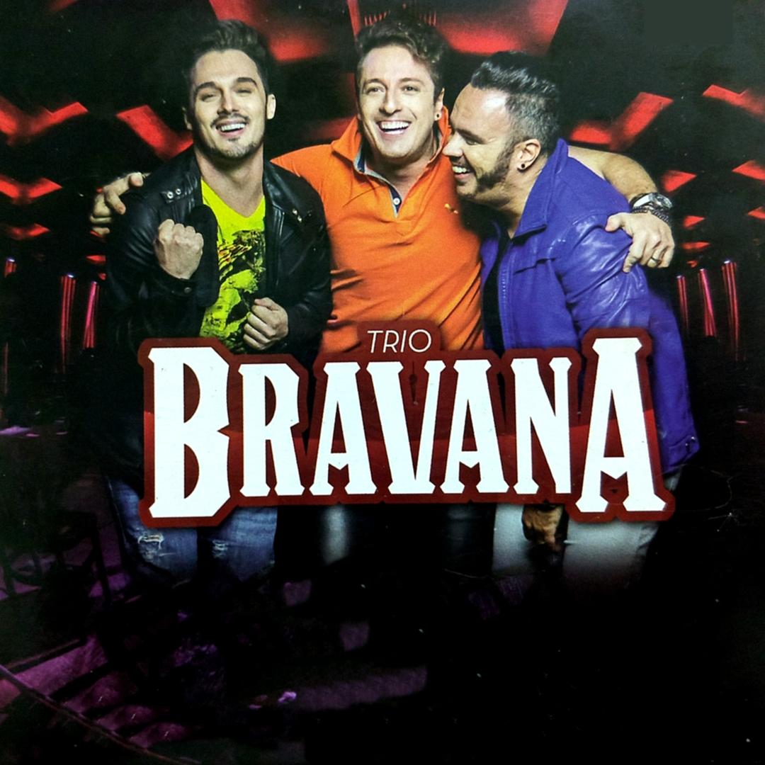 frases de um livro trio bravana