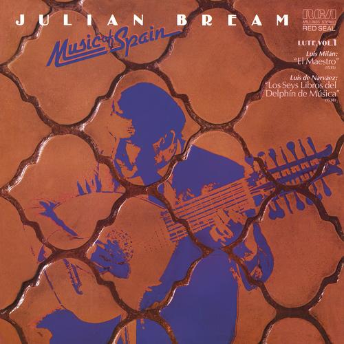 Los Seys Libros Del Delphin De Musica Excerpts Book Vi Baxa De Contrapunto By Julian Bream Pandora pandora