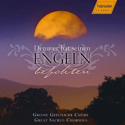 Denn Er Hat Seinen Engeln Befohlen Uber Dir Psalm 91 By