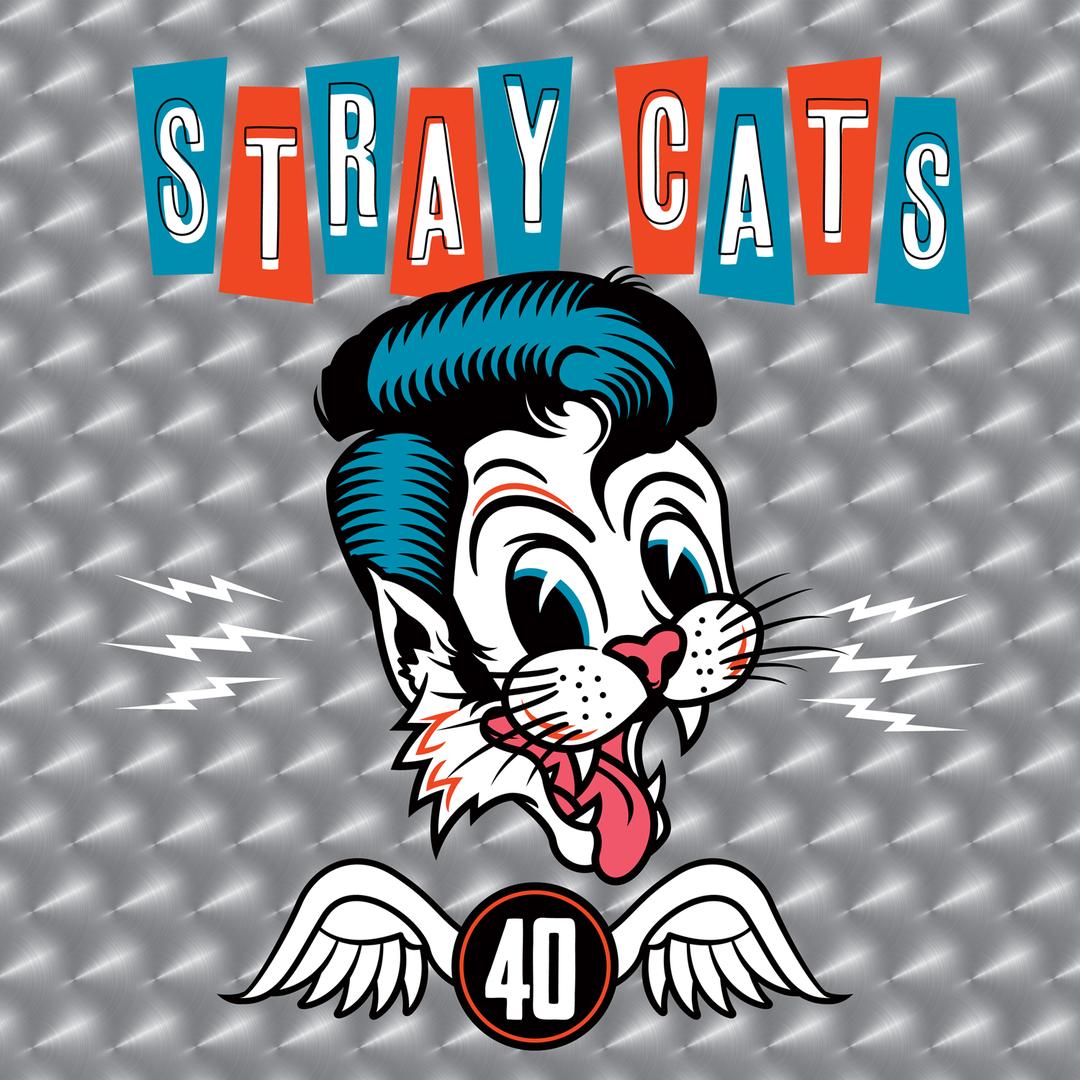 Cat Fight Over A Dog Like Me By Stray Cats Pandora