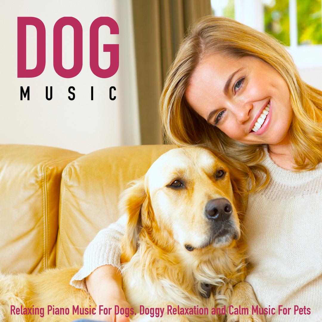 relaxing piano music for dogs