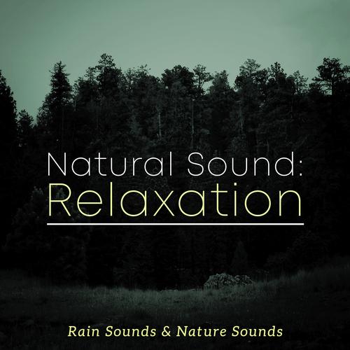 best nature sounds pandora radio stations