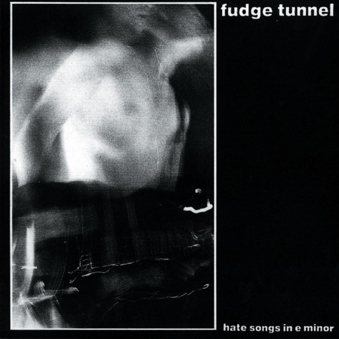 Cat Scratch Fever By Fudge Tunnel Pandora