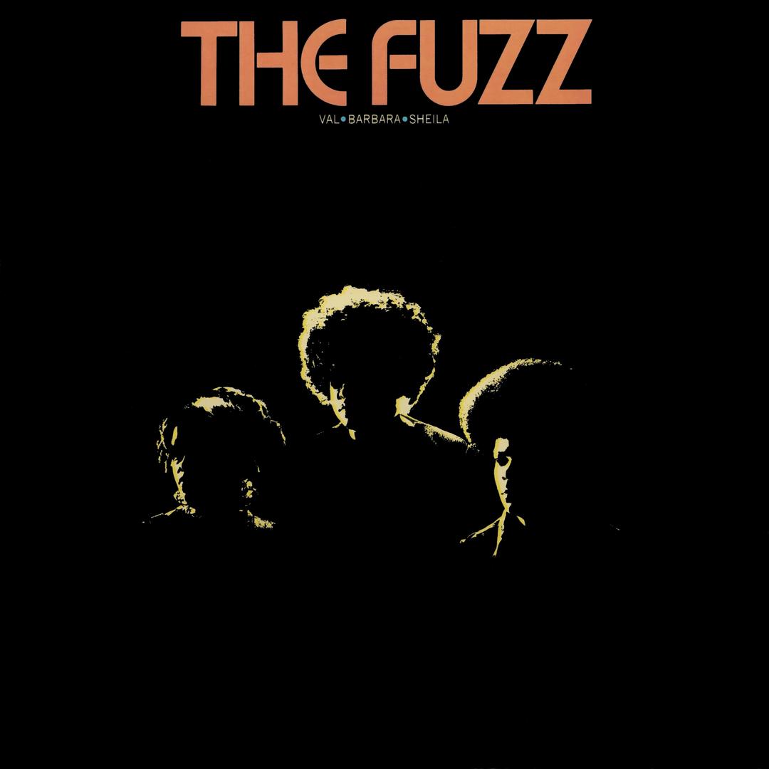 I Love You For All Seasons Single Version By The Fuzz Soul Pandora