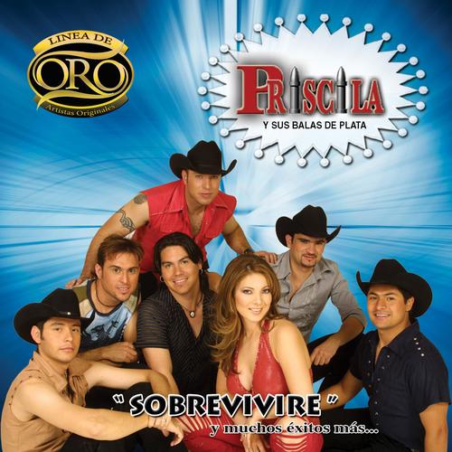 pandora album de plata pandora album de plata