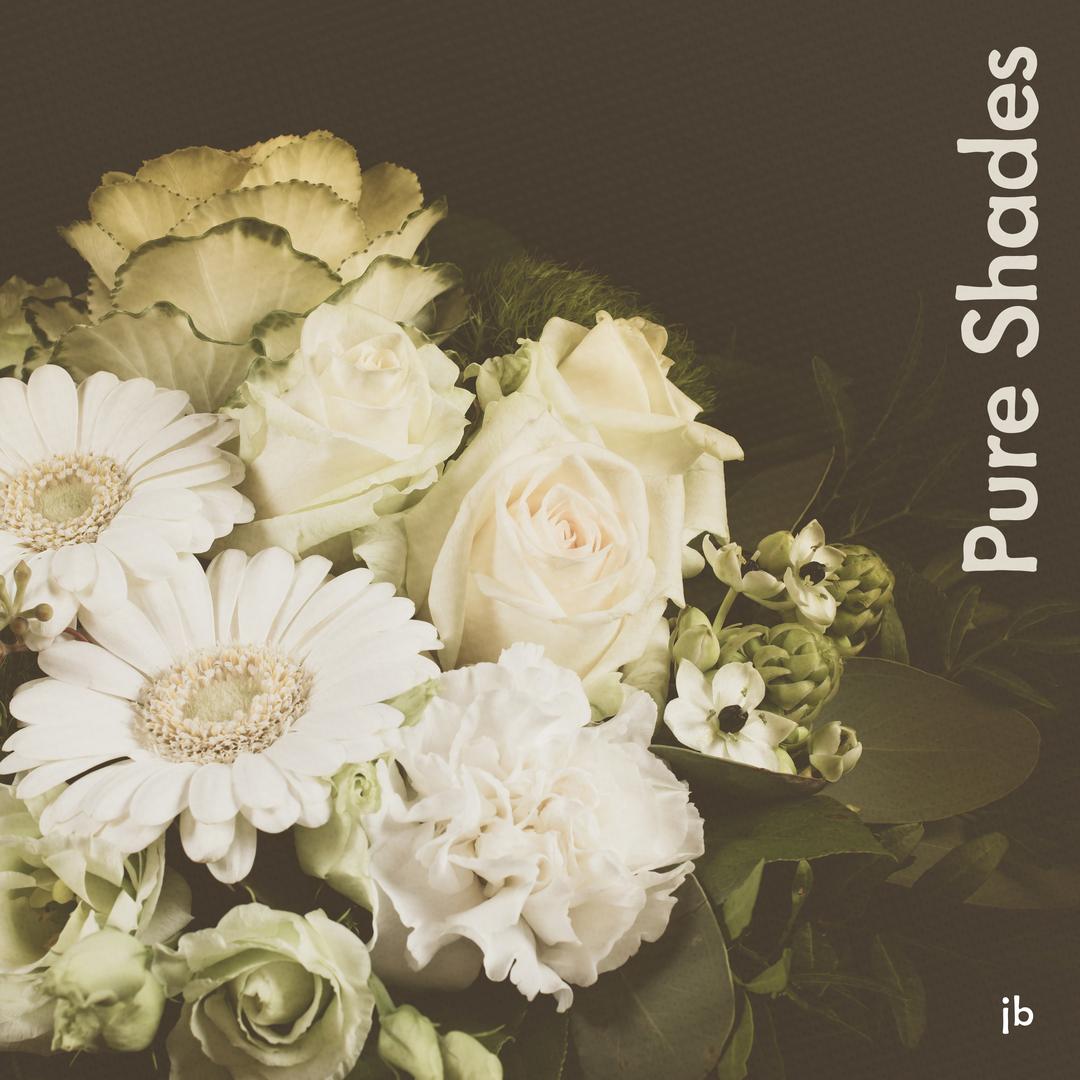 Pure Shades Single By Jon Bjork Pandora